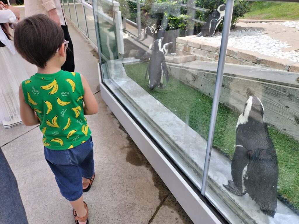 子供とペンギン